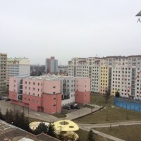 95212_1737758674.jpg
