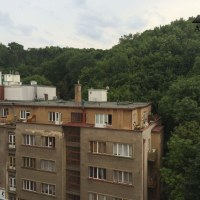 96410_1747771182.jpg